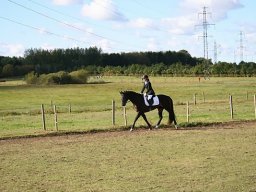 IMG_4201-014-redigeret